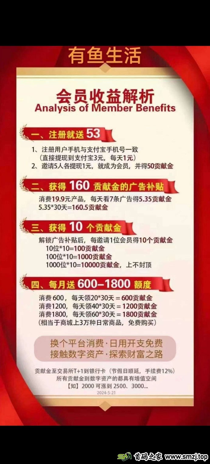 有鱼生活：站在数字经济风口，抓住未来财富机遇！